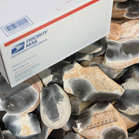 Cleaned Small Georgetown Nodules - Large Flat Rate Box - Free Shipping