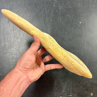 Georgetown Nodule Specimen - Unique Long Skinny Shape