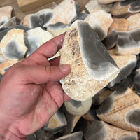 Georgetown Flint, Cleaned Small Nodules - 4-6 inch