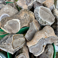 Pedernales Amoeba Chert - Raw Tested Nodules