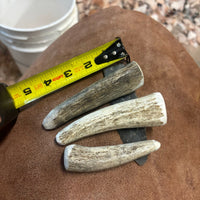 Alaskan Moose Antler Punches - 3 Pack