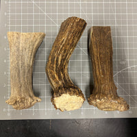 Moose Knife Handle Stock - Lot of Three (3)