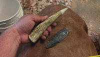 Alaskan Moose Antler Tine Pressure Flaker