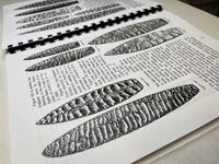 Knapper's Guide to Late Paleo, Lanceolates, Dalton, and Others - Book 2