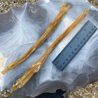 Long Natural Deer Leg Sinew - 2 Tendon Pack -
