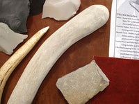 head of domed antler billet and other traditional antler supplies