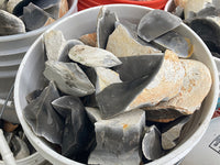 Georgetown Flint Chips and Chunks - Medium Flat Rate Box - Free Shipping