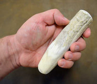 antler shed knife handle blank