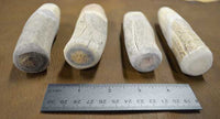 Various sizes of beam section antler blanks