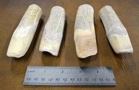 porous end of beam section handle blanks