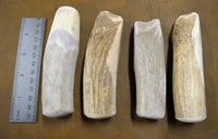 various shades of color on beam section handle blanks
