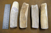 various shades of color on beam section handle blanks