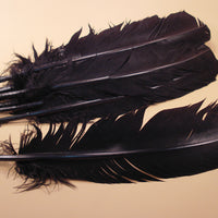 large black turkey wing feathers for traditional scout arrow fletching