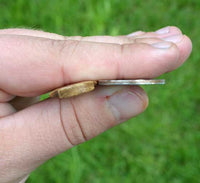 thickness comparison of base of bone arrow point for award arrows