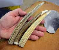 Traditional antler tine flintknapping pressure tool