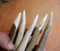 pre-shaped tips on antler tine pressure flaker