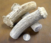 antler shed crow section knife handle blank
