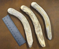 extra small traditional antler percussion flintknapping billet tools