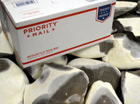 Medium box of Texas Georgetown flint nodules for flintknapping