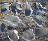 Spalled flint stone from Georgetown Texas