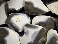 Percussion cleaned raw georgetown flint nodules