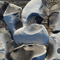 Georgetown flint stone nodules for flint knapping