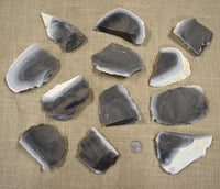 Small spalls and flakes of georgetown texas flint material