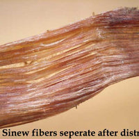 traditional natural sinew backstrap deer fibers