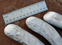 domed head close up of traditional antler flintknapping billet tool