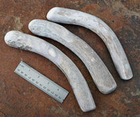 traditional antler percussion flintknapping billet abo tool