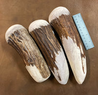 Large Moose Antler Billet
