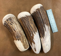 Large Moose Antler Billet
