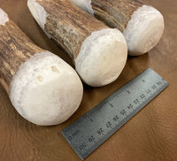 Medium Moose Antler Billet