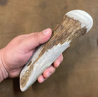 Medium Moose Antler Billet