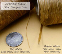 size comparison of thin and regular width sinew
