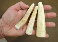 deer antler punches three pack