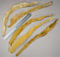 multiple large hanks of natural backstrap sinew