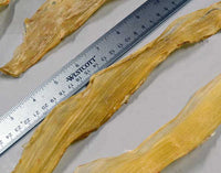 close up of width of natural backstrap sinew