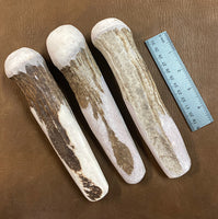 Small Moose Antler Billet