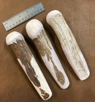 Small Moose Antler Billet
