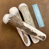 Small Moose Antler Billet