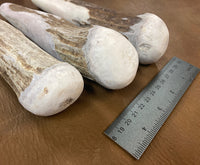 Small Moose Antler Billet