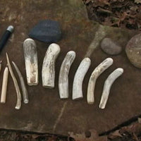 variety of tools and supplies to flintknapp