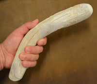 extra large antler flintknapping supplies