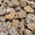 Pedernales Amoeba Chert - Raw Tested Nodules