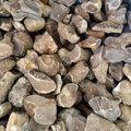 Pedernales Amoeba Chert - Small Tested Nodules