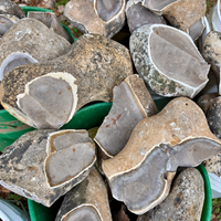 Pedernales Amoeba Chert - Raw Tested Nodules
