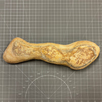Georgetown Nodule Specimen - Unique Long Skinny Shape

