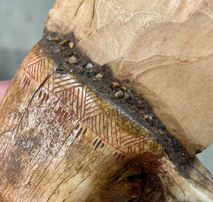 Buffalo Jaw Bone Knife - #3 made in 2021