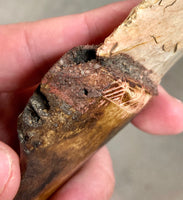 Buffalo Jaw Bone Stone Bladed Knife - #4 made in 2021
